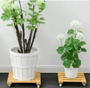 Eze-Move bamboo dolly